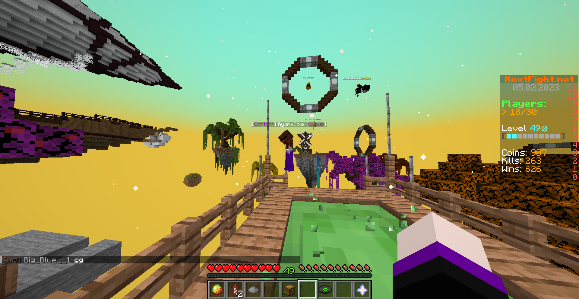 The first Elytra Race